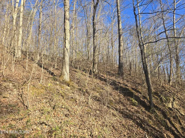 206 Lick Creek Ln, La Follette, TN 37766