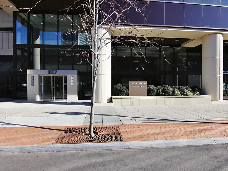 Welcome to Downtown Stamford!
