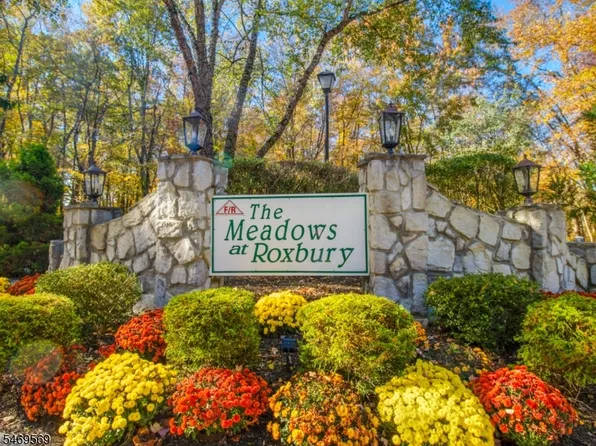 118 Woods Edge Dr, Roxbury Twp., NJ 07876
