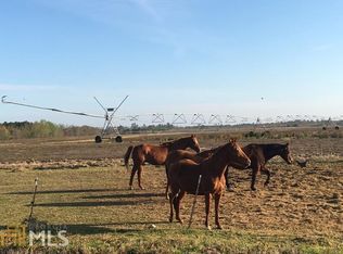 511 Buck Creek Rd, Sylvania, GA 30467