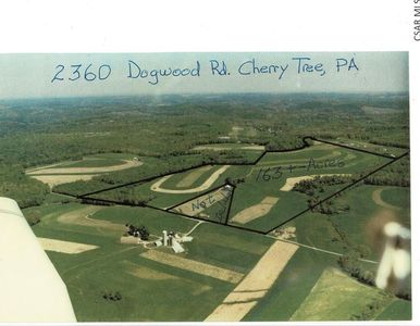 2360 Dogwood Rd, Cherry Tree, PA, 15724