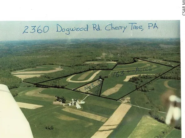 2360 Dogwood Rd, Cherry Tree, PA 15724