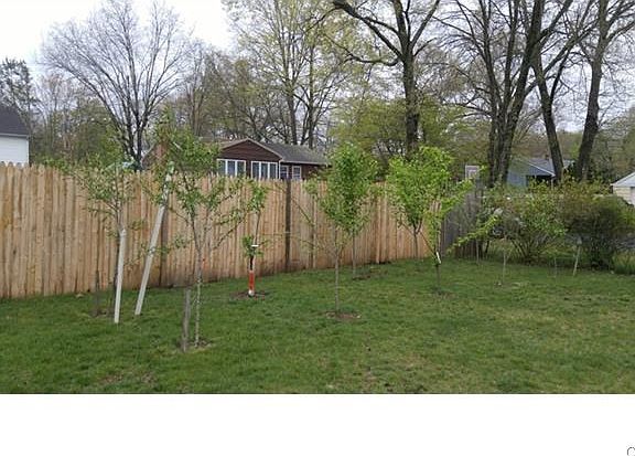 Fruit trees, apple, peach, plum and pear.