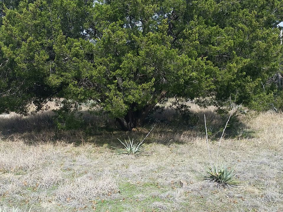 1st image of 2110 Cactus Aly