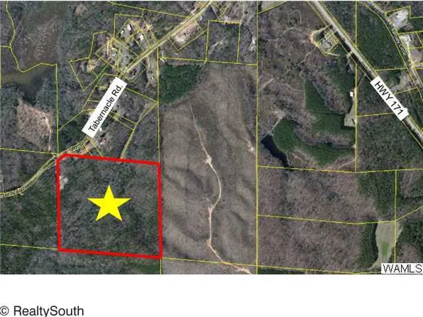 17175 Tabernacle Rd, Northport, AL 35475