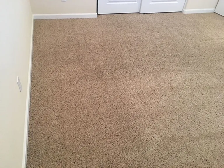 715 Bodega Ave — Photo 14