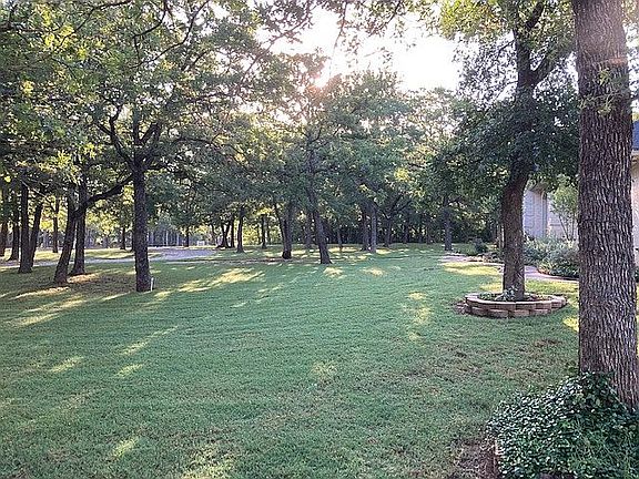 Shaded front yard