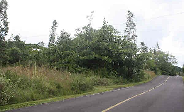 1st image of 15-1344 22nd Ave Lot 286