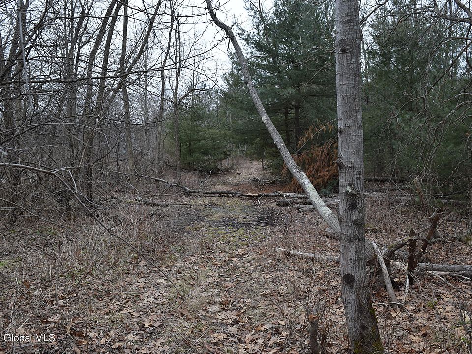 L32.01 Ballston Lake Road, Ballston Lake, NY 12019 MLS 202312392