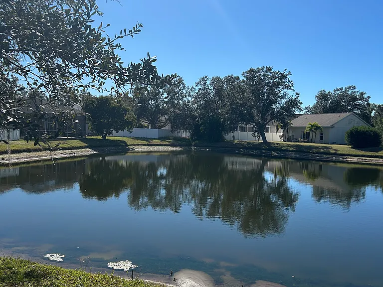 12220 Winding Woods Way — Photo 70