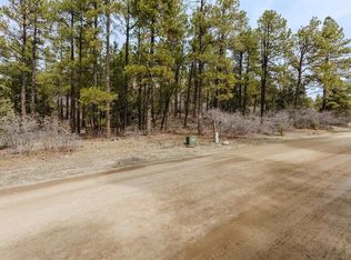 25 Woodland Drive, Pagosa Springs, CO 81147