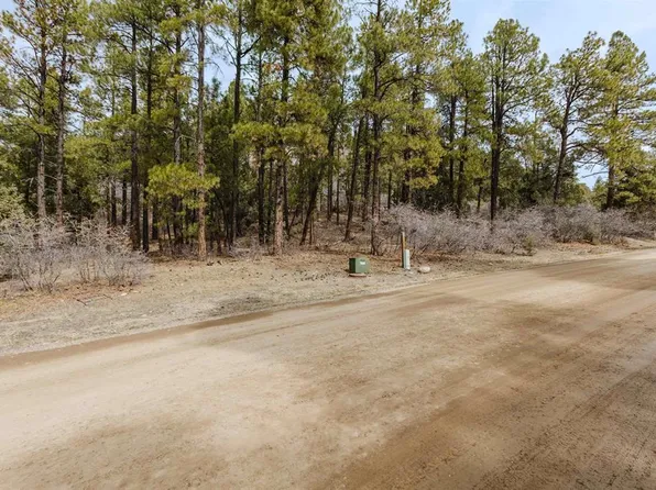 25 Woodland Drive, Pagosa Springs, CO 81147