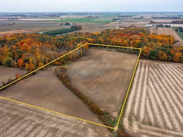 0 Wood Rd, Marlette, MI 48453