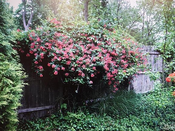 5th image of 44 Maplewood Ave