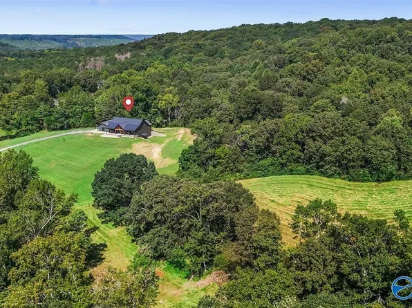 1128 Double S Mountain Rd, Baileyton, AL 35019