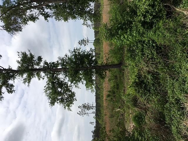 2nd image of 22 & 23 Kinder Cemetery Rd
