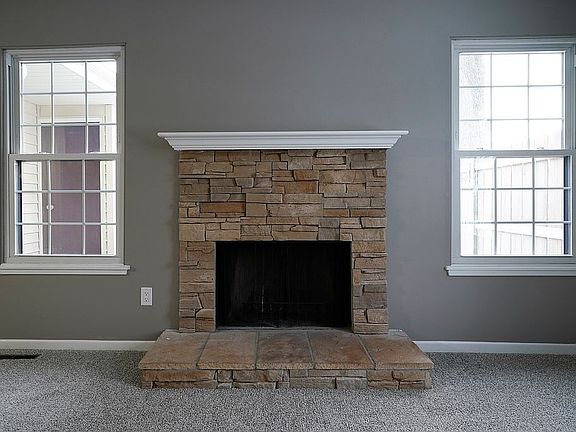 Wood burning Fireplace
