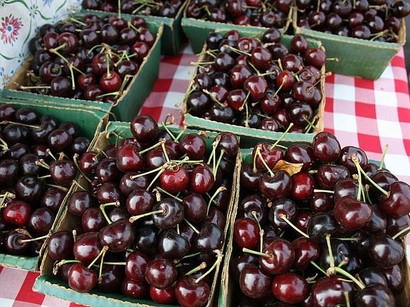 Sonora Farmers Market Saturdays