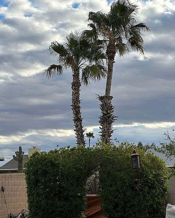 1st image of 7840 W San Juan Ave