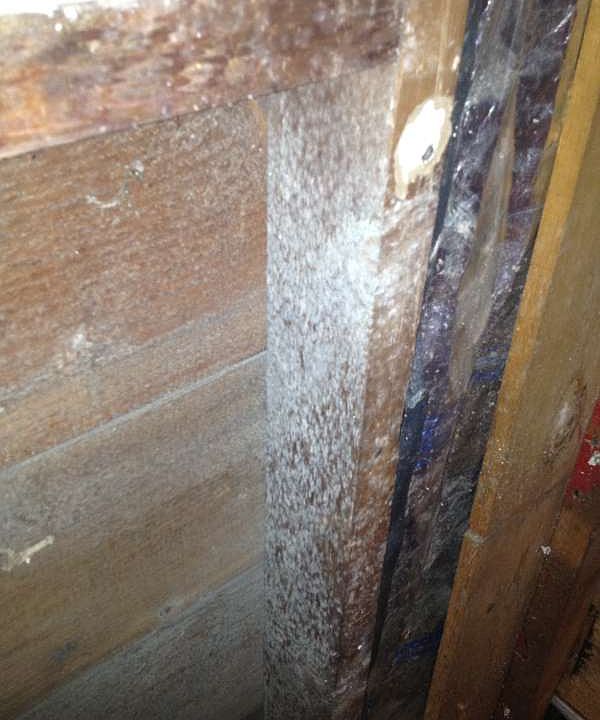2nd image of 324 Beach 48th St