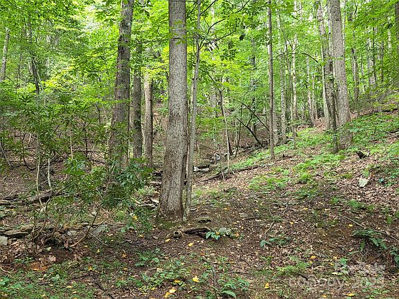 4th image of 800610 Ivy Rd #217