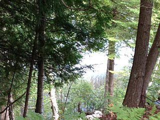 1st image of Plateau Dr