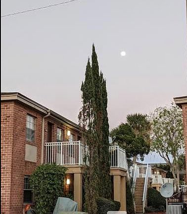 5th image of 550 Flemming Way APT 202