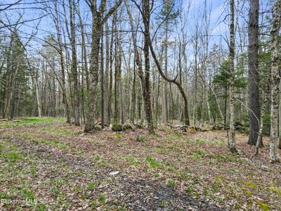 Stagecoach Rd, Becket, MA, 01223