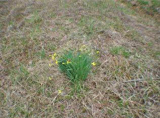 LOT 1 Old Dam Rd LOT 1, Liberty, NC 27298