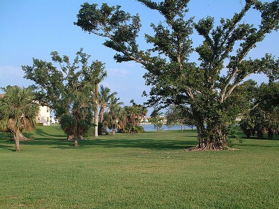Acres of Green Space