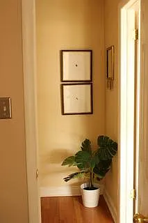 1242 Gaylord St #103 — Photo 11