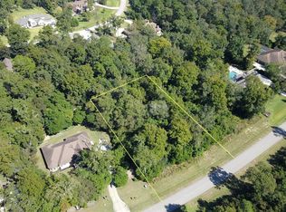 27319 Shady Hills Landing Ln, Spring, TX 77386