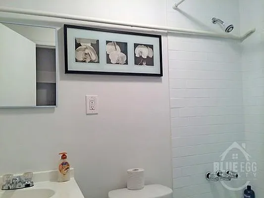 Rented by Blue Egg Realty Corp | media 9