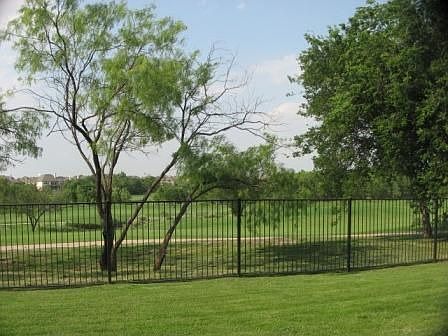Backyard Views 
