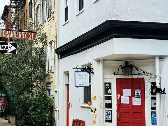 5th image of 80 Cranberry St #G17