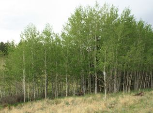 3110 Echo Lake Dr, Florissant, CO 80816