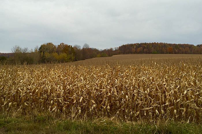 2nd image of 2944 State Route 184