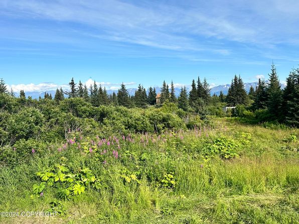 51330 Mossberry Ave, Homer, AK 99603