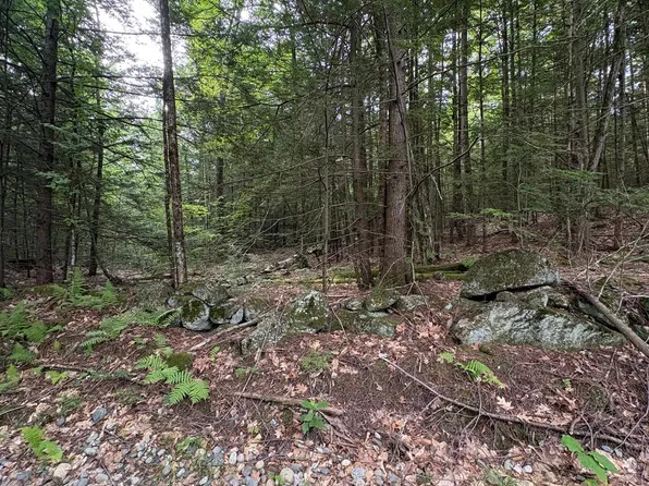 0 Access Road MAP 18A LOT 15, Chesterfield, NH 03462