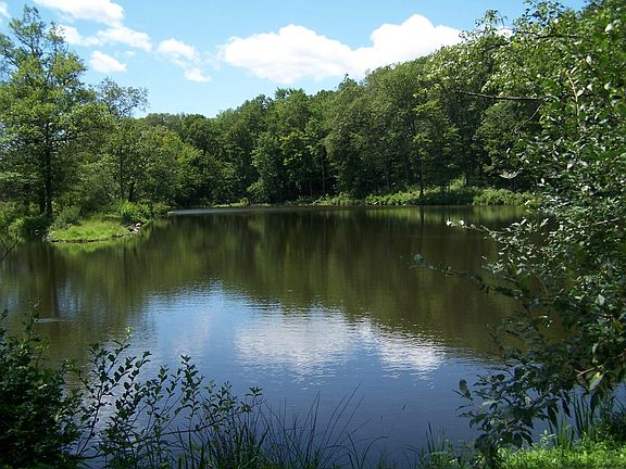 2nd image of 130 Loughran Lane