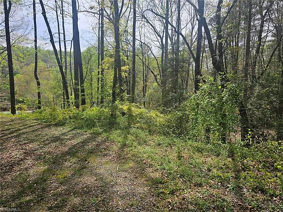 5th image of 0 Spring Dr