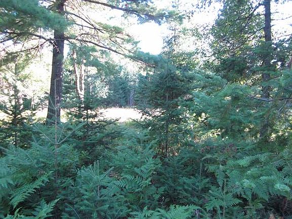 4th image of On Cottage Dr W Lot 239