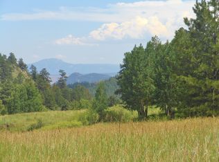 33692 Natural Springs Road, PIne, CO 80470