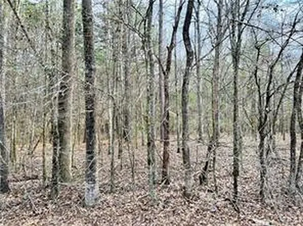 0 German Bayou Rd, Marksville, LA 71351