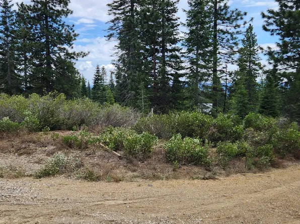 4 Echo Way #D, McCloud, CA 96057