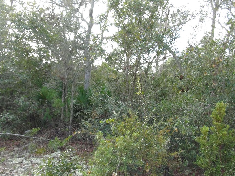 2nd image of 00 ACACIA Street