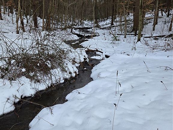 4th image of Syler Rd