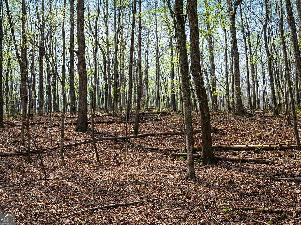 1st image of 2315 Stonepile Rd Lot 4