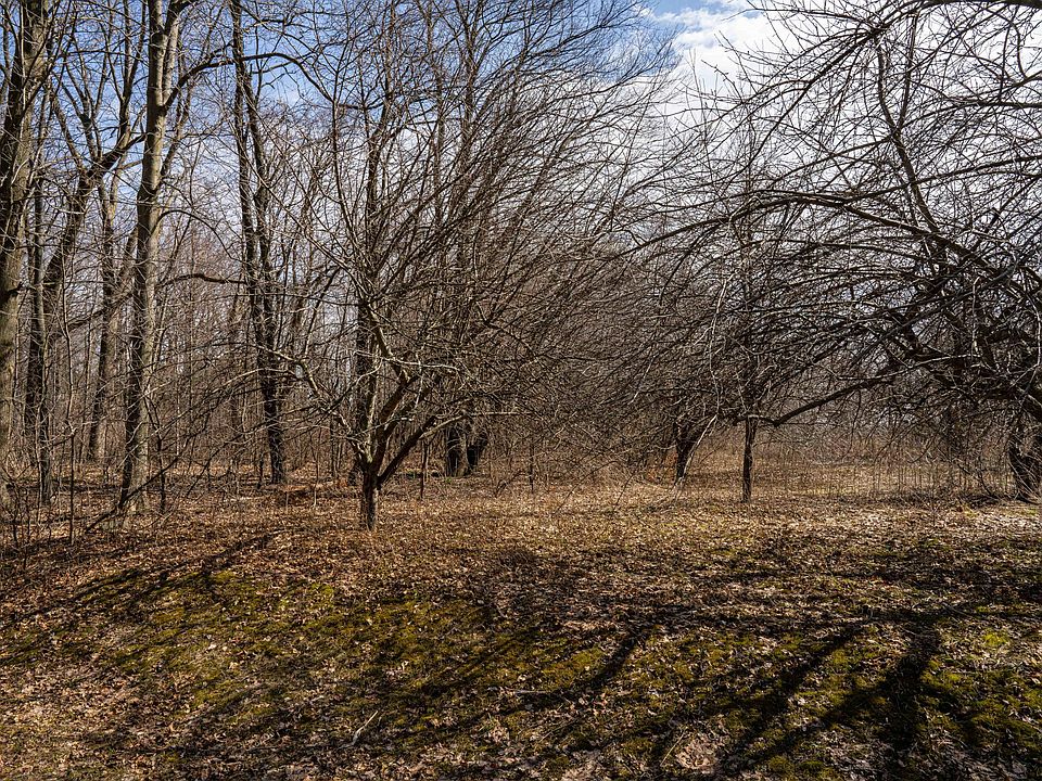 2nd image of Woodland Ave