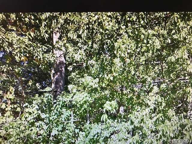 1st image of 39 Napoli Dr